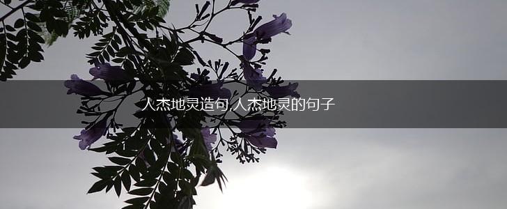 人杰地灵造句,人杰地灵的句子,第1张