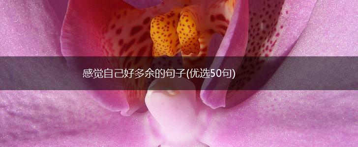 感觉自己好多余的句子(优选50句),第1张