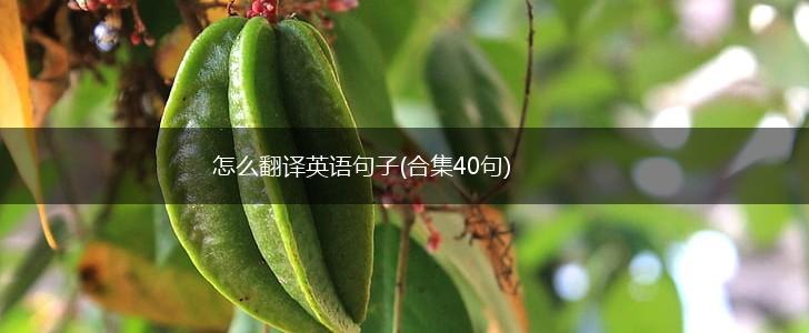 怎么翻译英语句子(合集40句),第1张