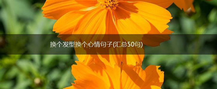 换个发型换个心情句子(汇总50句),第1张