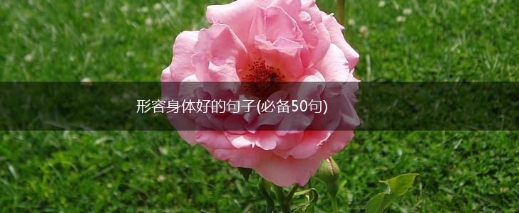 形容身体好的句子(必备50句),第1张