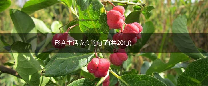 形容生活充实的句子(共20句),第1张