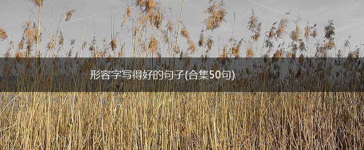 形容字写得好的句子(合集50句),第1张
