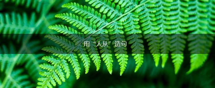用“人从”造句,第1张