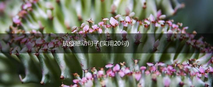抗疫感动句子(实用20句),第1张