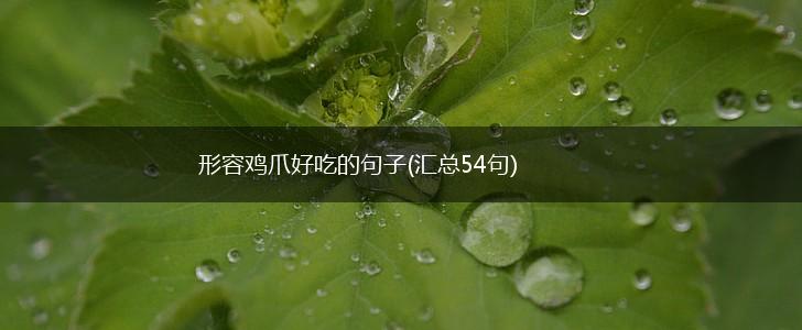 形容鸡爪好吃的句子(汇总54句),第1张