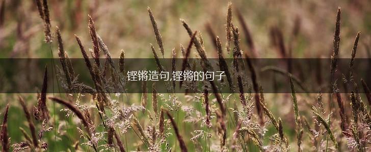 铿锵造句,铿锵的句子,第1张