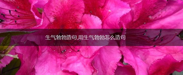 生气勃勃造句,用生气勃勃怎么造句,第1张