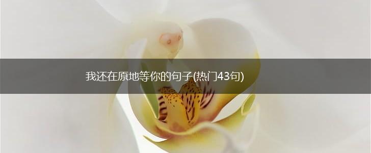 我还在原地等你的句子(热门43句),第1张
