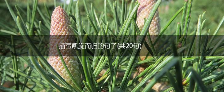 描写凯旋而归的句子(共20句),第1张