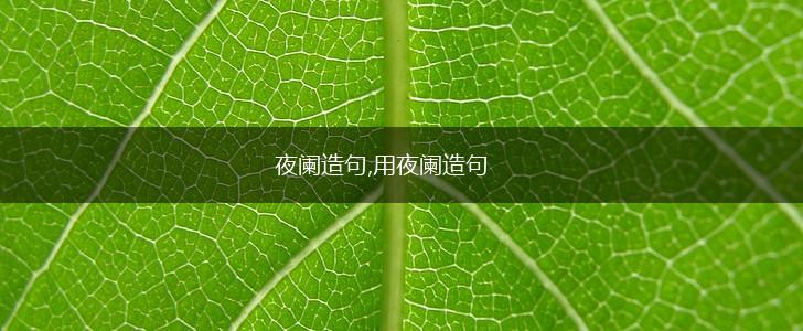夜阑造句,用夜阑造句,第1张