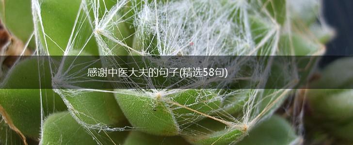 感谢中医大夫的句子(精选58句),第1张