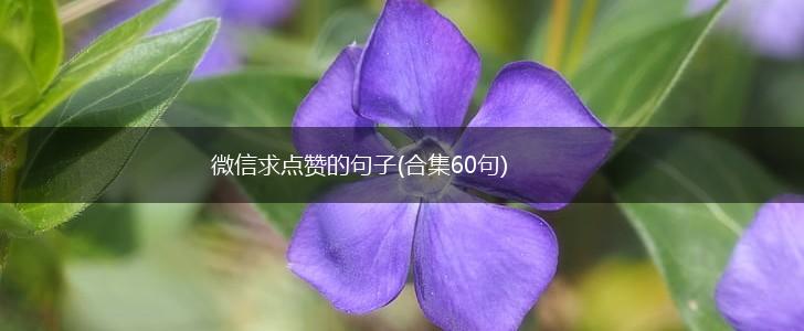 微信求点赞的句子(合集60句),第1张