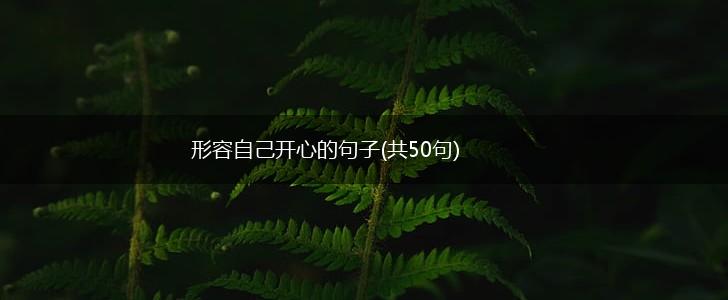 形容自己开心的句子(共50句),第1张