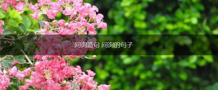 问询造句 问询的句子,第1张