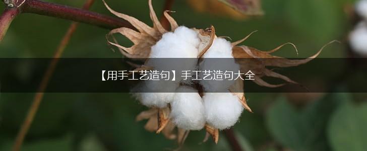 【用手工艺造句】手工艺造句大全,第1张
