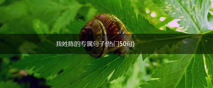 我姓陈的专属句子(热门50句),第1张