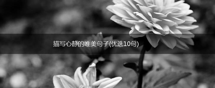 描写心静的唯美句子(优选10句),第1张