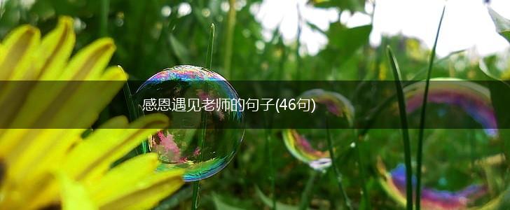 感恩遇见老师的句子(46句),第1张