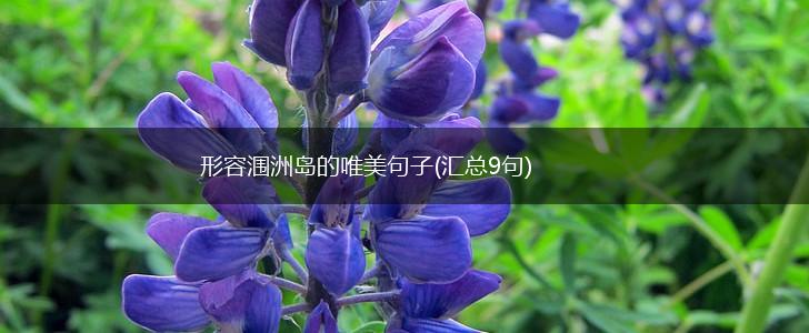 形容涠洲岛的唯美句子(汇总9句),第1张