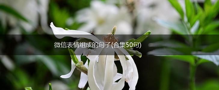 微信表情组成的句子(合集50句),第1张