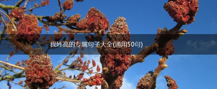 我姓高的专属句子大全(通用50句),第1张