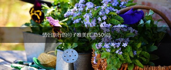 情侣旅行的句子唯美(汇总50句),第1张