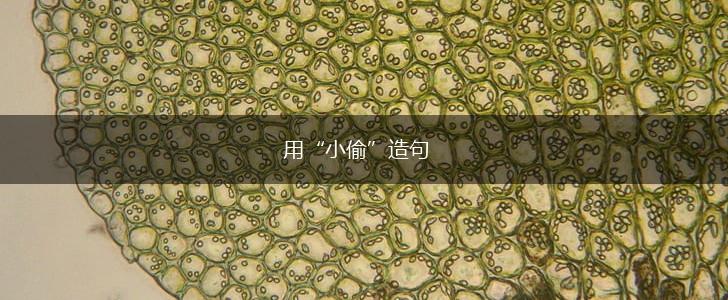用“小偷”造句,第1张