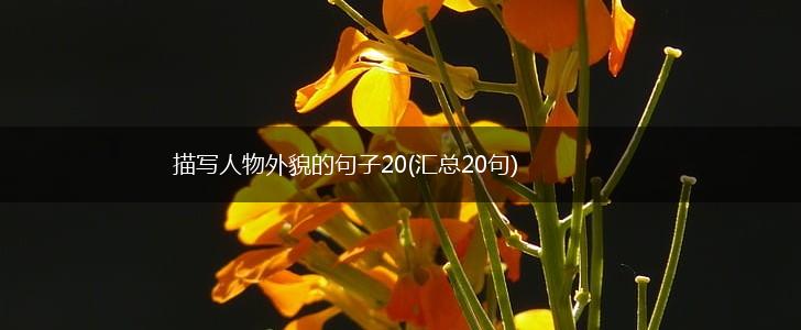 描写人物外貌的句子20(汇总20句),第1张
