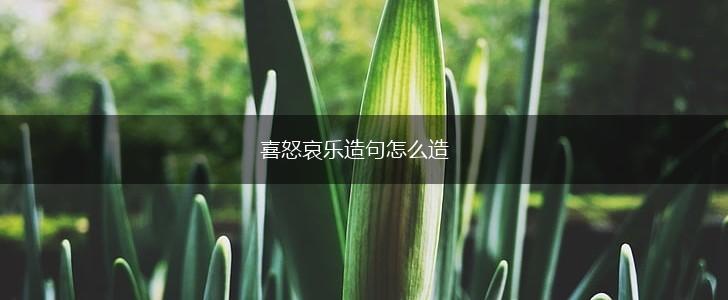 喜怒哀乐造句怎么造,第1张