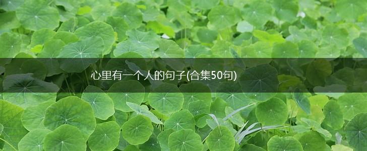 心里有一个人的句子(合集50句),第1张