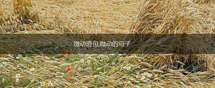微动造句,微动的句子,第1张
