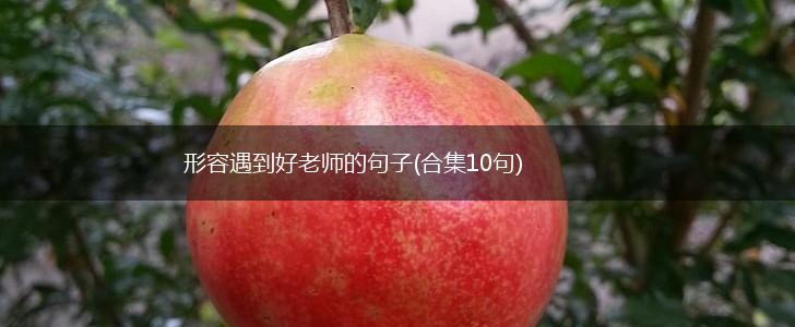 形容遇到好老师的句子(合集10句),第1张