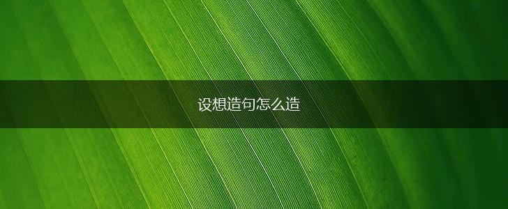 设想造句怎么造,第1张