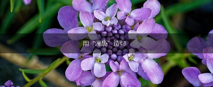 用“淫亵”造句,第1张