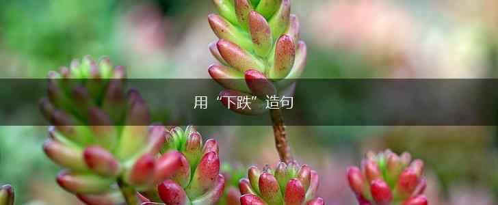 用“下跌”造句,第1张