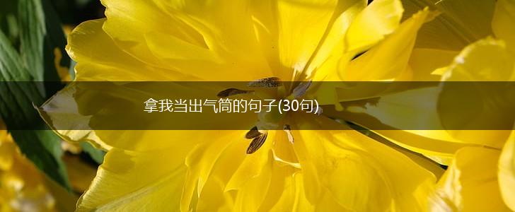 拿我当出气筒的句子(30句),第1张