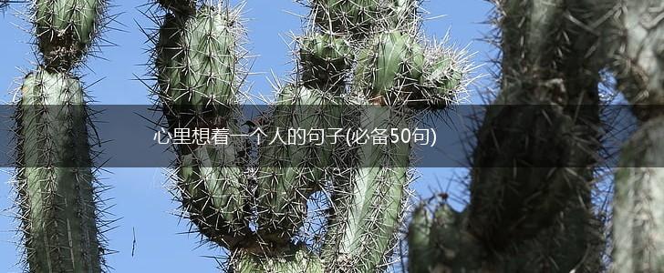 心里想着一个人的句子(必备50句),第1张