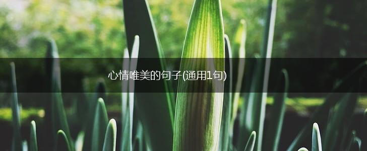 心情唯美的句子(通用1句),第1张