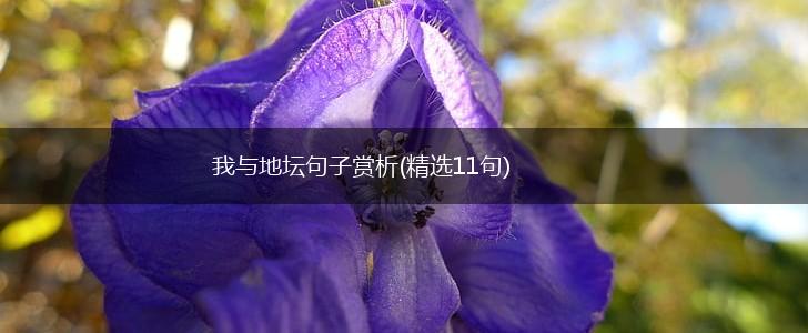 我与地坛句子赏析(精选11句),第1张