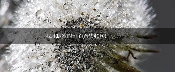 我才17岁的句子(合集40句),第1张
