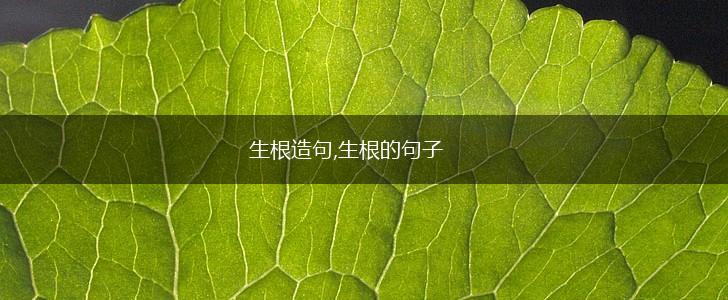 生根造句,生根的句子,第1张