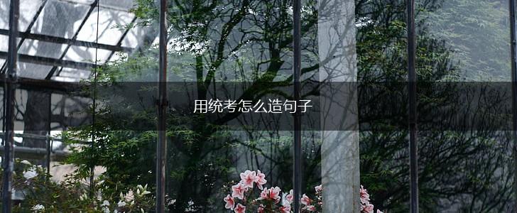 用统考怎么造句子,第1张