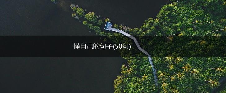 懂自己的句子(50句),第1张