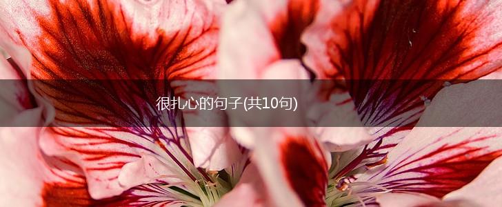 很扎心的句子(共10句),第1张
