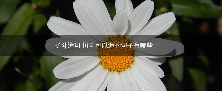 拼斗造句 拼斗可以造的句子有哪些,第1张