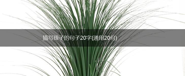 描写孩子的句子20字(通用20句),第1张