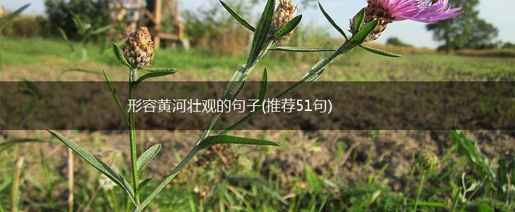 形容黄河壮观的句子(推荐51句),第1张