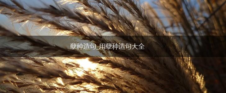 孽种造句_用孽种造句大全,第1张