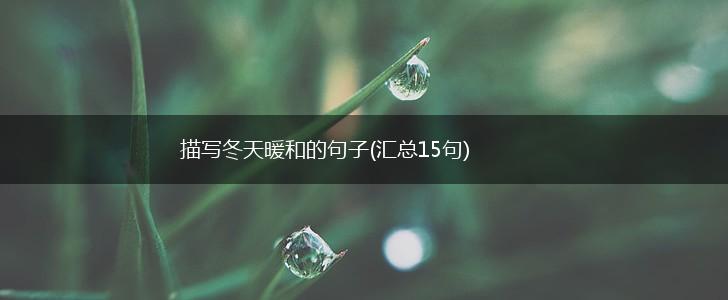 描写冬天暖和的句子(汇总15句),第1张